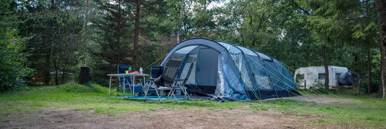 Unterkunft 326492 - Mobilheim Veluwe - Rabbit Hill | Comfort campingplaats | C10+
