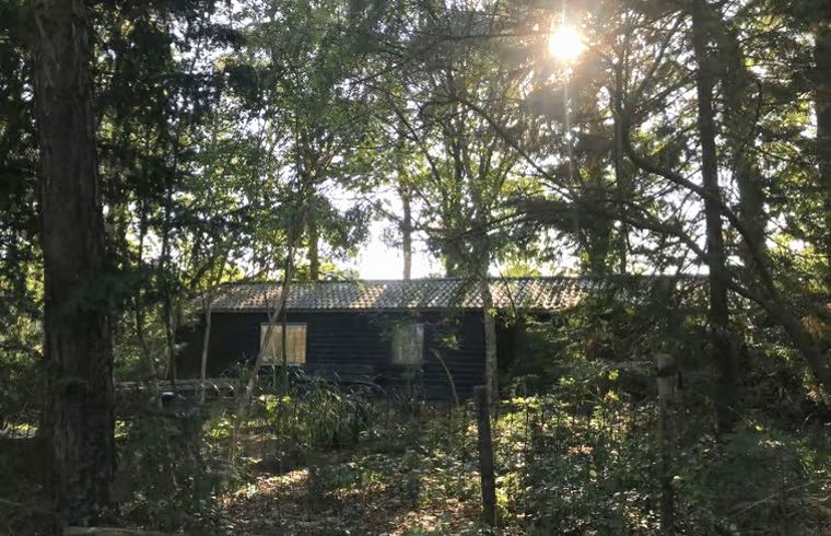 Ferienhaus in Nijkerk, umgeben von der Veluwe-Natur in Gelderland.