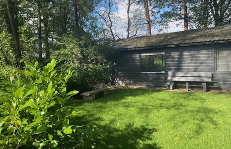 Ruhiger Garten im Ferienhaus in Nijkerk, Veluwe, umgeben von viel Gruen.