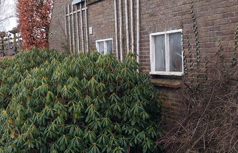 Eingang eines Ferienhauses in Klarenbeek, Veluwe, mit rustikaler Holztuer und umgebender Natur in Gelderland.