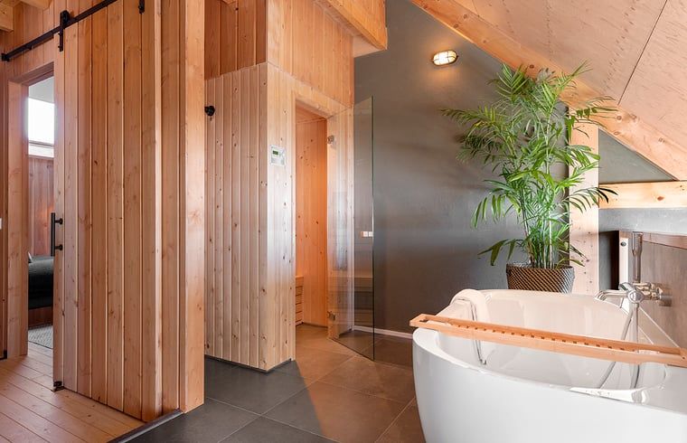 Stijlvolle badkamer met houten elementen in Huisje in Veessen, Veluwe, voor een luxe vakantie-ervaring.
