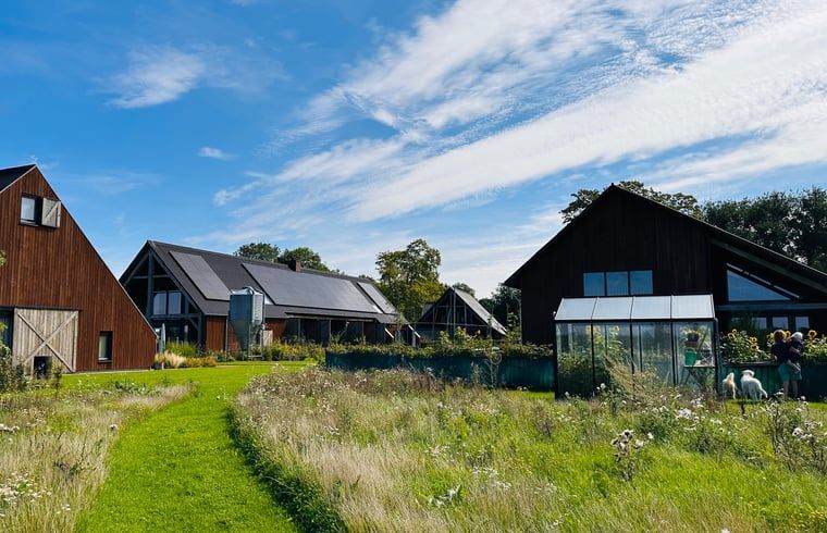 Omgeving van Huisje in Veessen, Veluwe, met weelderige natuur en moderne vakantiehuizen in Gelderland.
