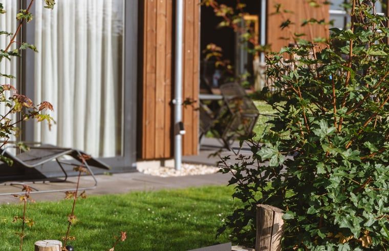 Detail van de tuin bij Huisje in Veessen, Veluwe, met groene planten en terras voor ontspanning.