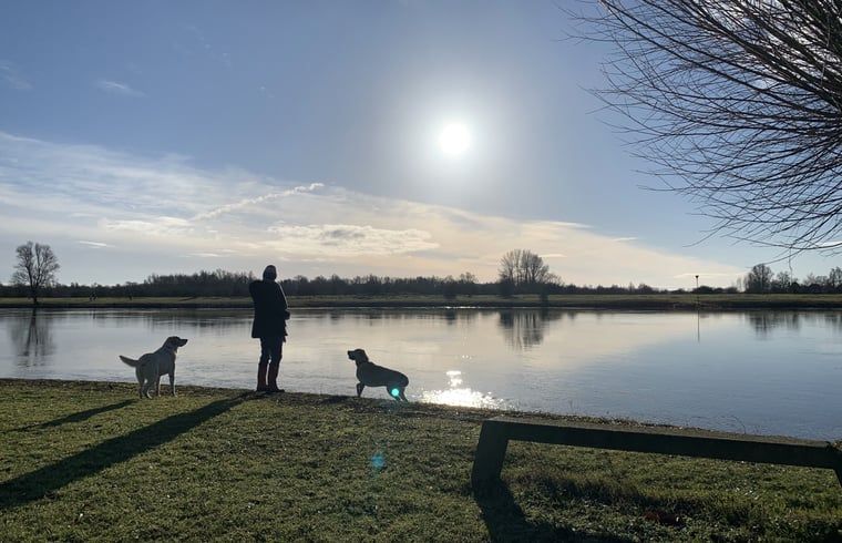 Prachtig uitzicht op de rivier bij Huisje in Veessen, Veluwe, perfect voor wandelingen in de natuur.