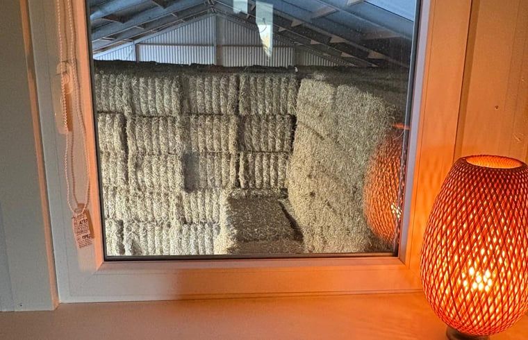 Guest house 331002 - Holiday property Noordoost Groningen - Vakantiehuisje in Schildwolde