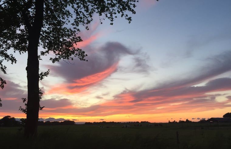 Verblijf 332102 - Vakantiewoning Noordoost Groningen - Vakantiehuis in Wirdum