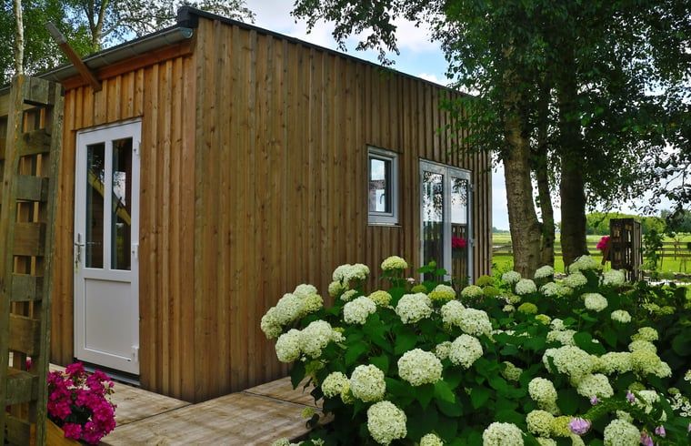Unterkunft 333401 - Ferienhaus Noordoost Groningen - Vakantiehuis in Overschild