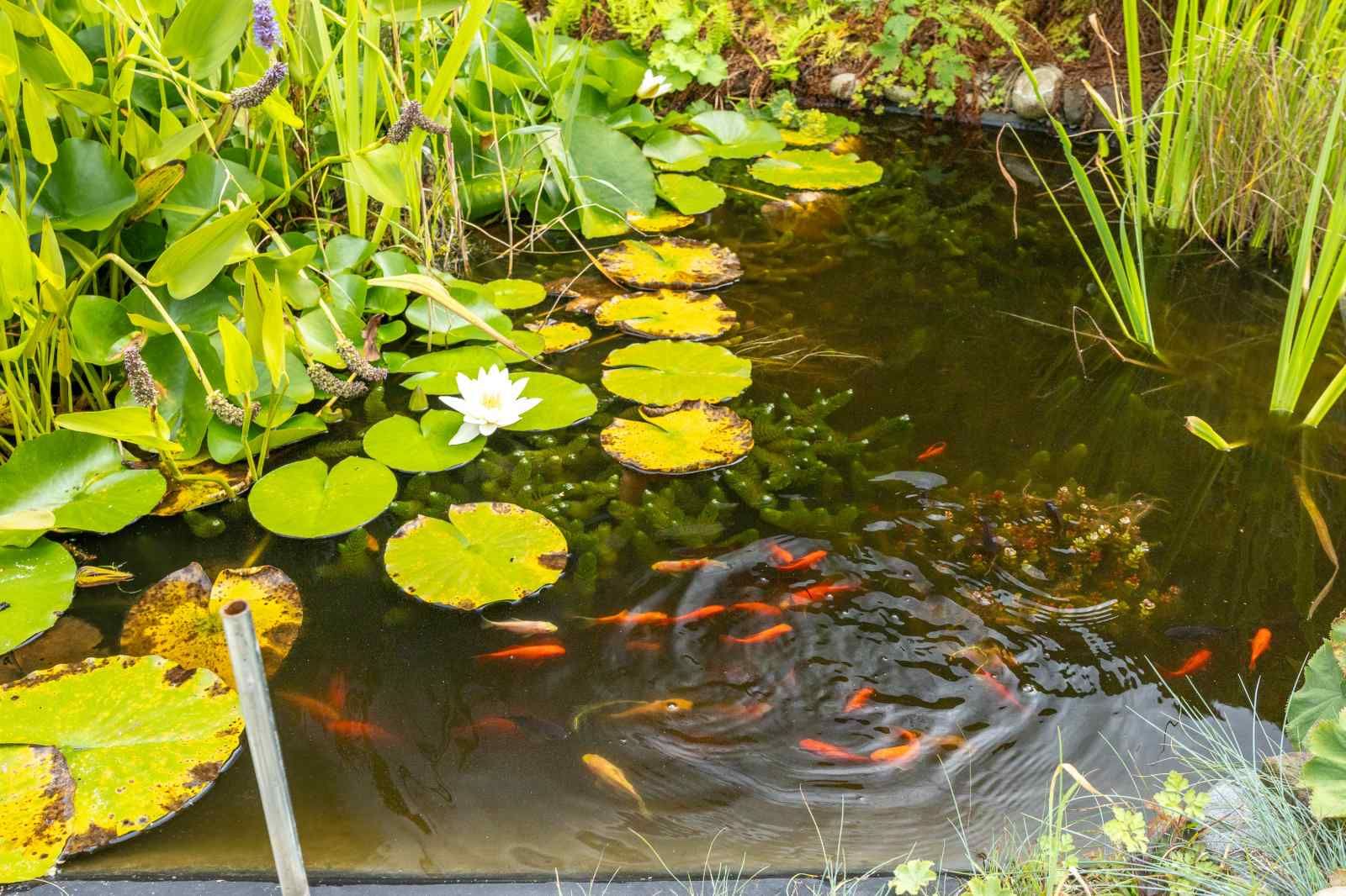 Slaapkamer met klassieke inrichting in GR032 vakantiehuis, Lauwersoog, Noordwest Groningen.
