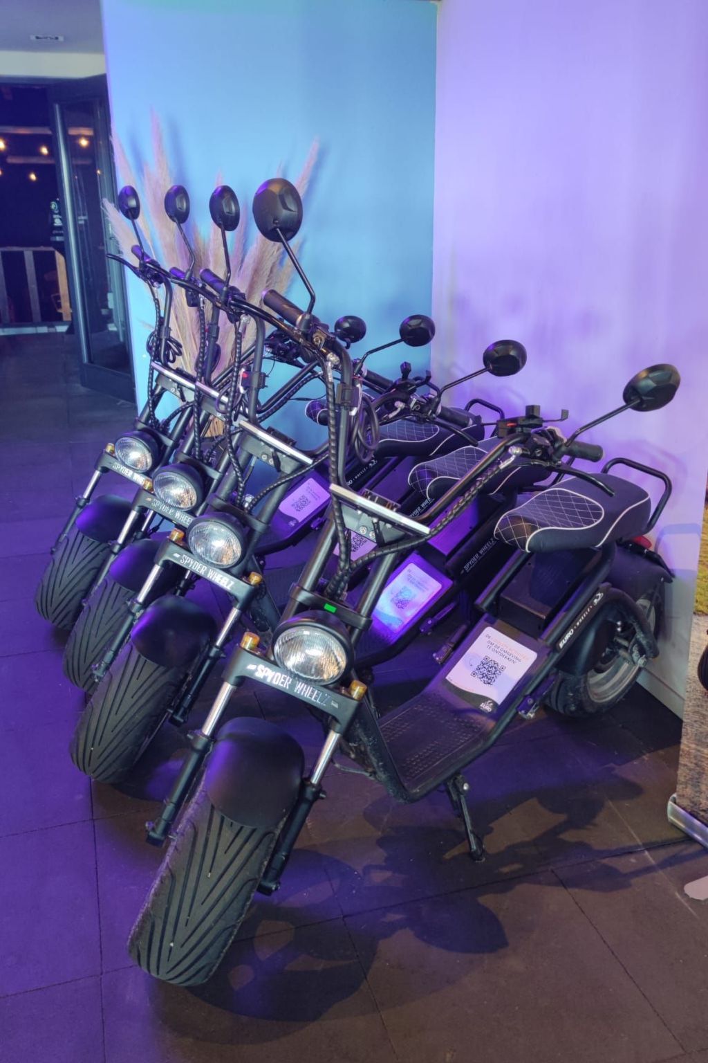 Unterkunft 341385 - Appartement Noordwest Groningen - Appartement Mobilheim Herz Lauwersoog - Chalet Pampusplaat 0