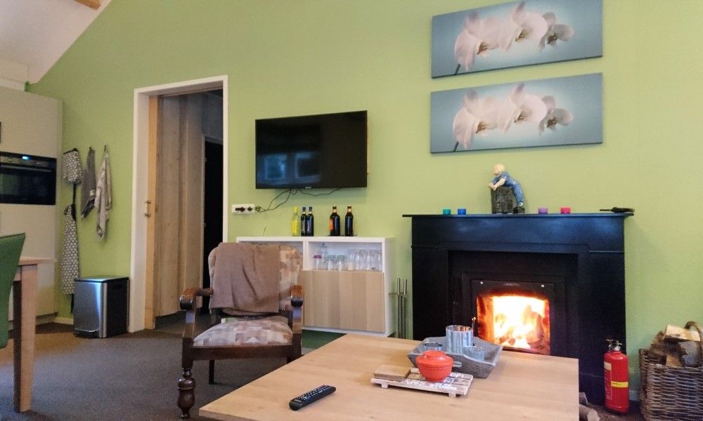 Gemuetliches Wohnzimmer mit Kamin im Ferienhaus mit Sauna, Vierhuizen, Groningen.