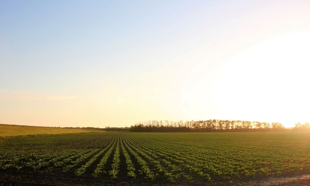 Unterkunft 341809 - Ferienhaus Noordwest Groningen - Vakantiehuis met sauna