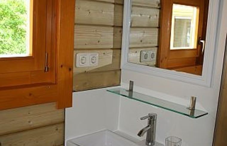 Stylish bathroom in Holiday home in Zoutkamp with wooden accents in Groningen.