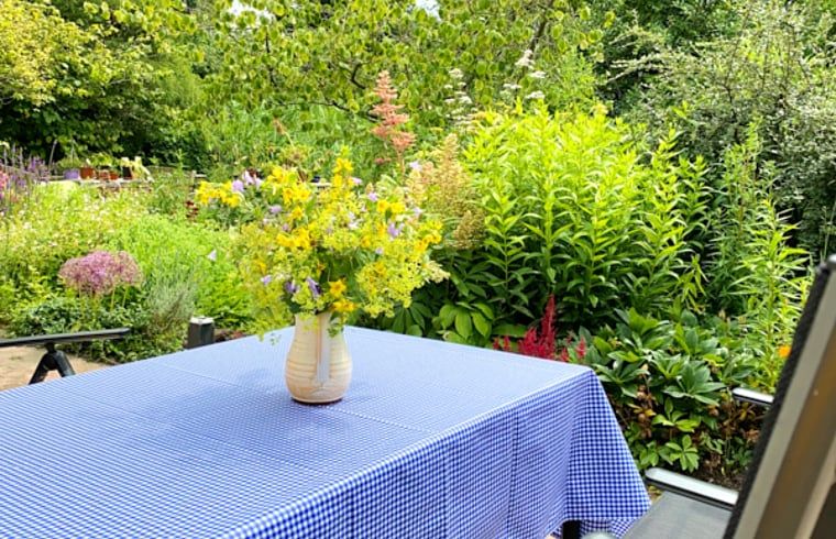 Buitenterras van Vakantiehuisje in Molenrij, omgeven door levendige bloemen in Groningen.
