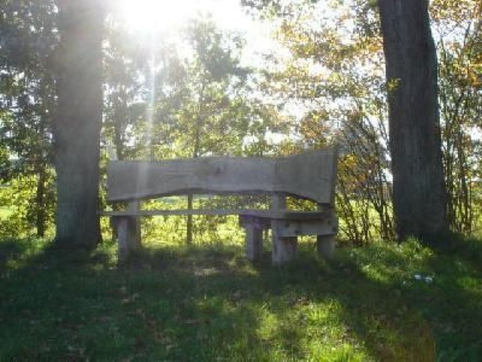 Verblijf 350317 - Vakantiewoning Zuidoost Groningen - Vakantiehuis Gemütlicher Ferienhof Loosternest in Vrieschel