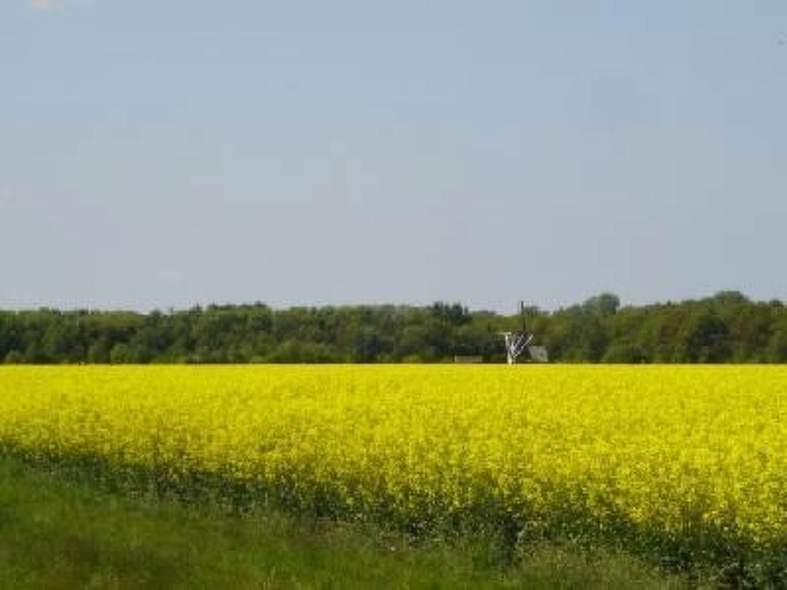 Verblijf 350317 - Vakantiewoning Zuidoost Groningen - Vakantiehuis Gemütlicher Ferienhof Loosternest in Vrieschel