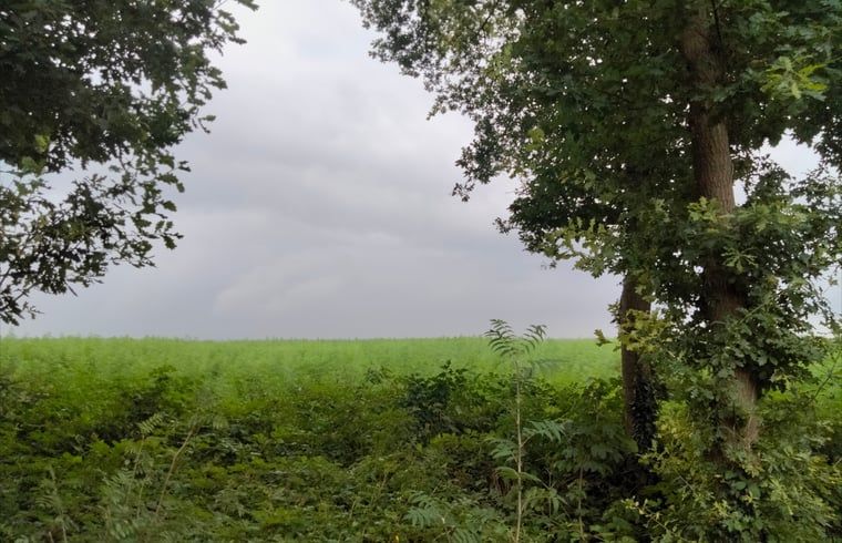 Schoener Blick ins Gruene vom Cottage in Bourtange Ferienhaus in der Landschaft von Groningen.