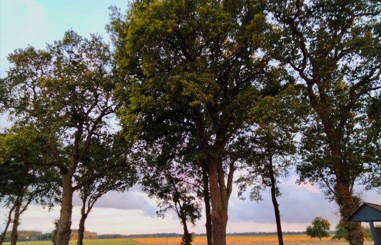 Von Baeumen umgebenes Ferienhaus in Bourtange in der ruhigen Landschaft von Groningen.