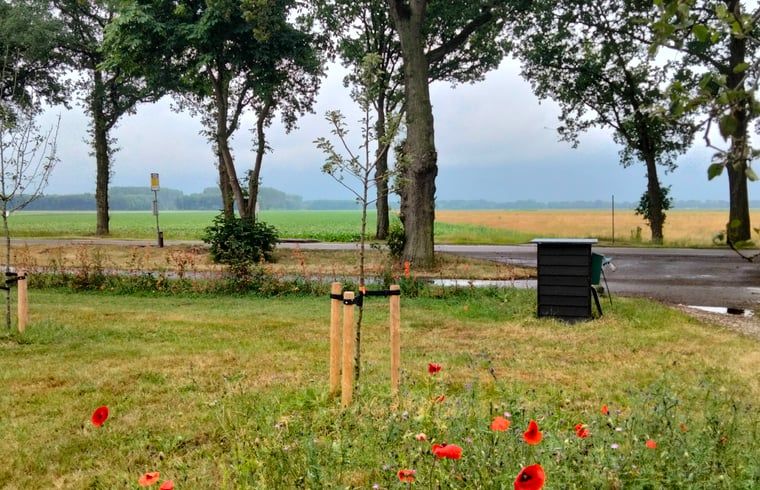 Der bluehende Garten des Ferienhauses in Bourtange bietet eine farbenfrohe Aussicht in Groningen.