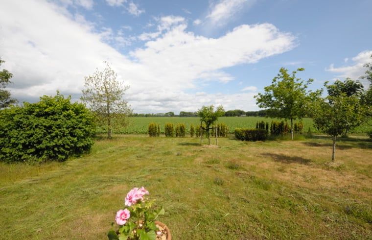 View over green fields at Cottage in Onstwedde, vacation home in southeastern Groningen.