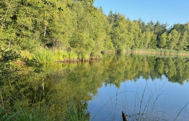 Quiet pond near Cottage in Onstwedde, vacation home in Groningen.