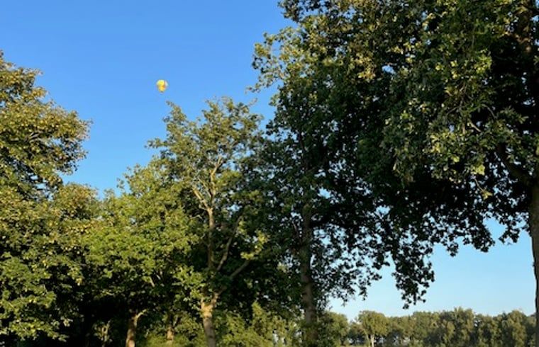Hot air balloon over the trees near Cottage in Onstwedde, vacation home in Groningen.