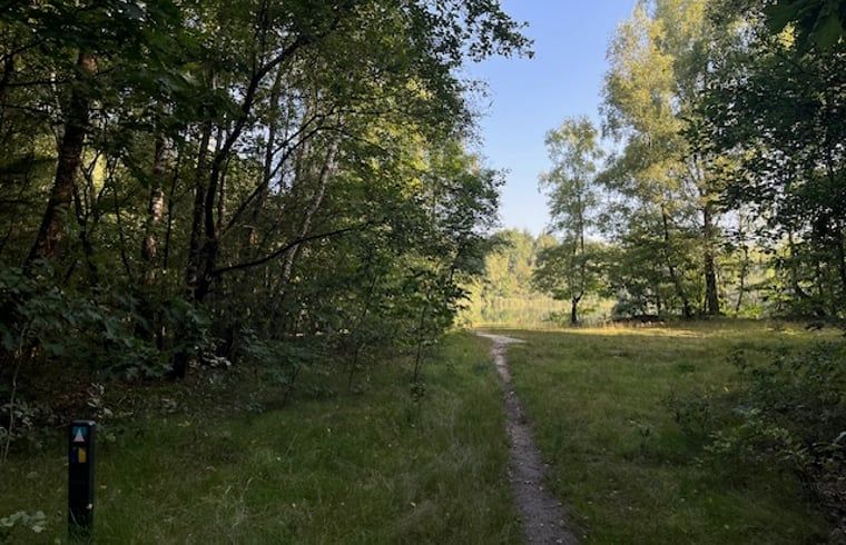 Wooded hiking trail near Cottage in Onstwedde, vacation home in southeastern Groningen.
