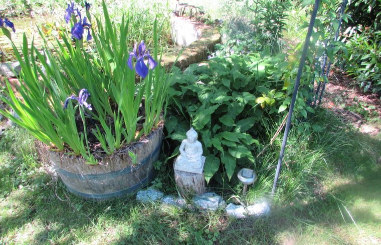 Unterkunft 351602 - Ferienhaus Zuidoost Groningen - Vakantiehuis in Veelerveen