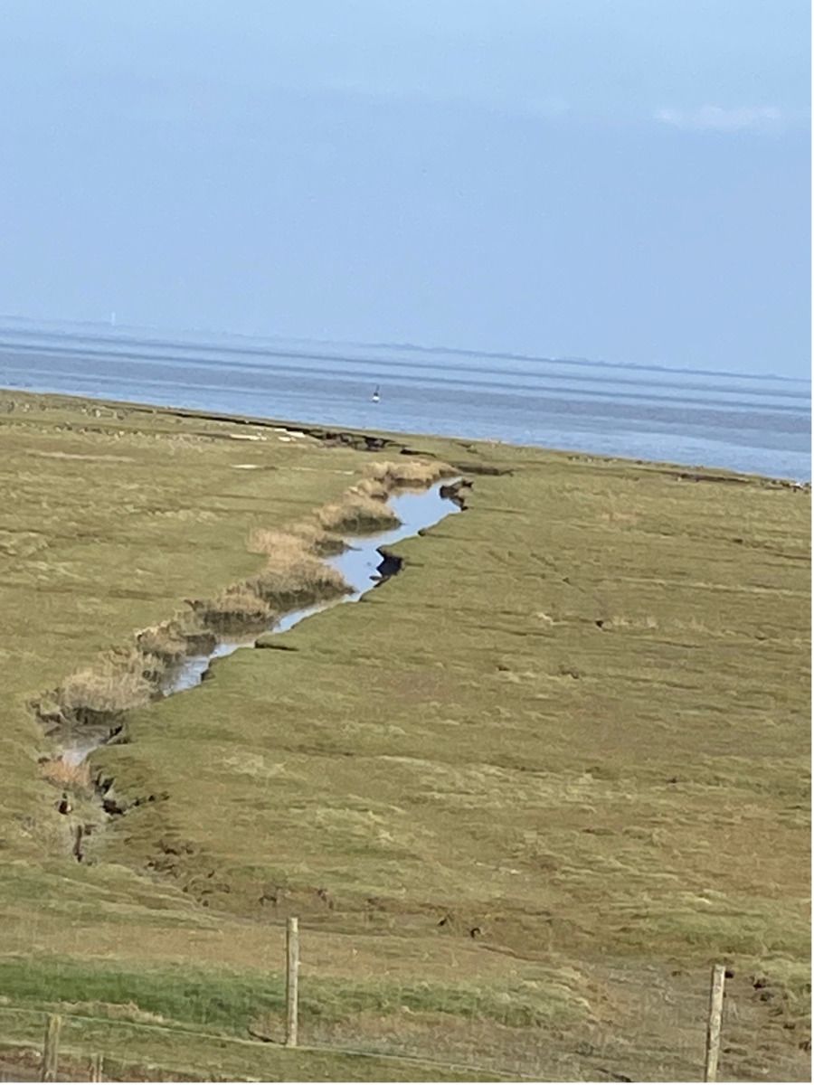 Unterkunft 351701 - Ferienhaus Zuidoost Groningen - GR046