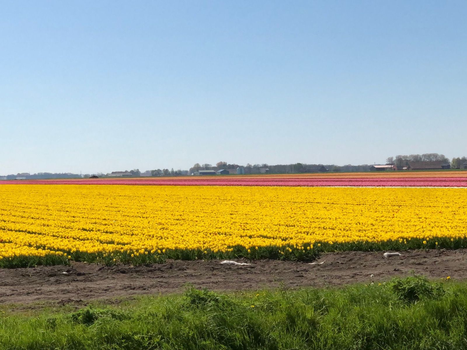 Unterkunft 351701 - Ferienhaus Zuidoost Groningen - GR046