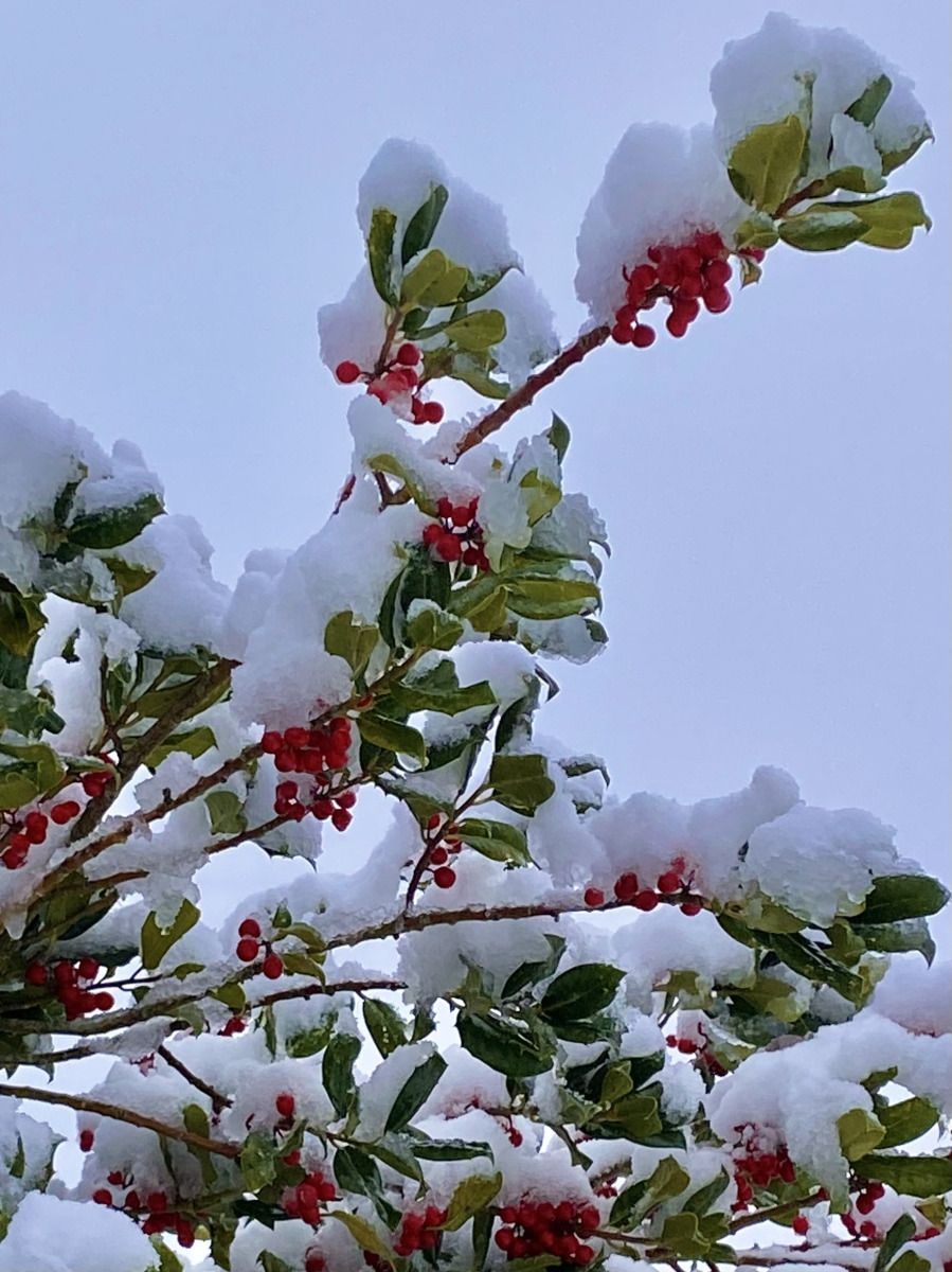 Unterkunft 351701 - Ferienhaus Zuidoost Groningen - GR046
