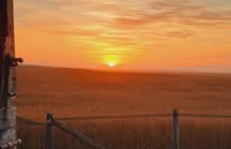 Unterkunft 353601 - Ferienhaus Zuidoost Groningen - Vakantiehuisje in Vledderveen
