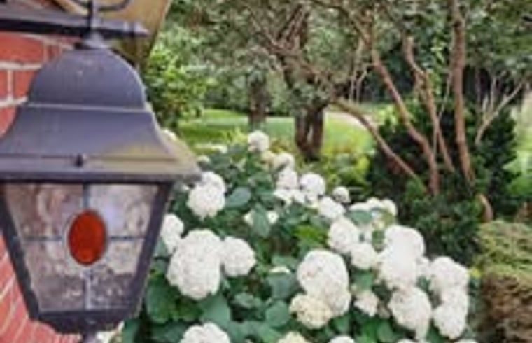 Unterkunft 353601 - Ferienhaus Zuidoost Groningen - Vakantiehuisje in Vledderveen