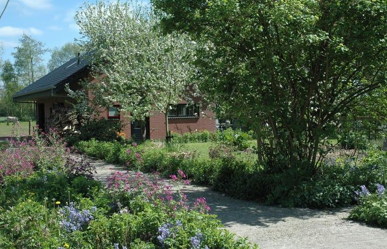 Huisje in Zevenhuizen, vakantiehuis omringd door kleurrijke bloemen in Zuidwest Groningen, Groningen.