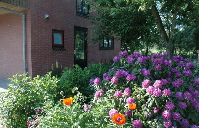 Huisje in Zevenhuizen, vooraanzicht met bloeiende bloemen in Zuidwest Groningen, Groningen.