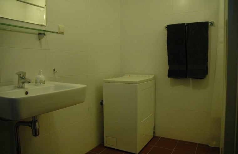 Huisje in Zevenhuizen, wasmachine in badkamer van vakantiehuis in Zuidwest Groningen, Groningen.