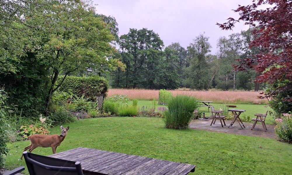 Bild 17