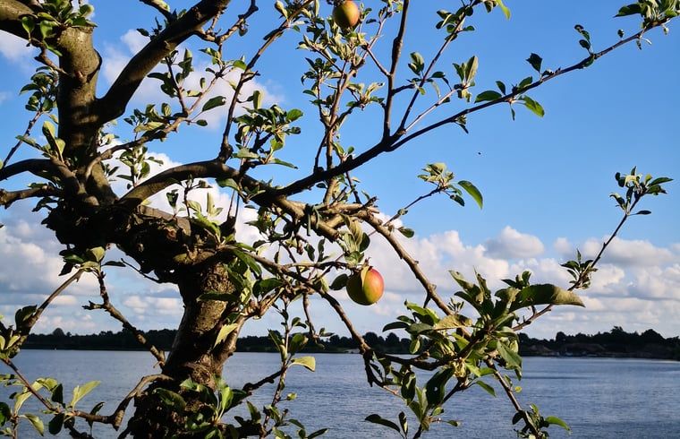 Guest house 361710 - Holiday property Zuidwest Groningen - Vakantiehuis in Opende