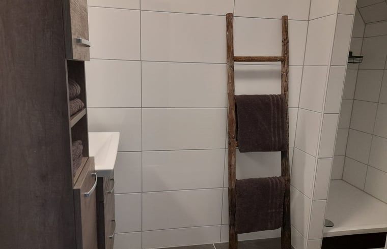 Stijlvolle badkamer met houten details in Huisje in Marum, vakantiehuis in Zuidwest Groningen.