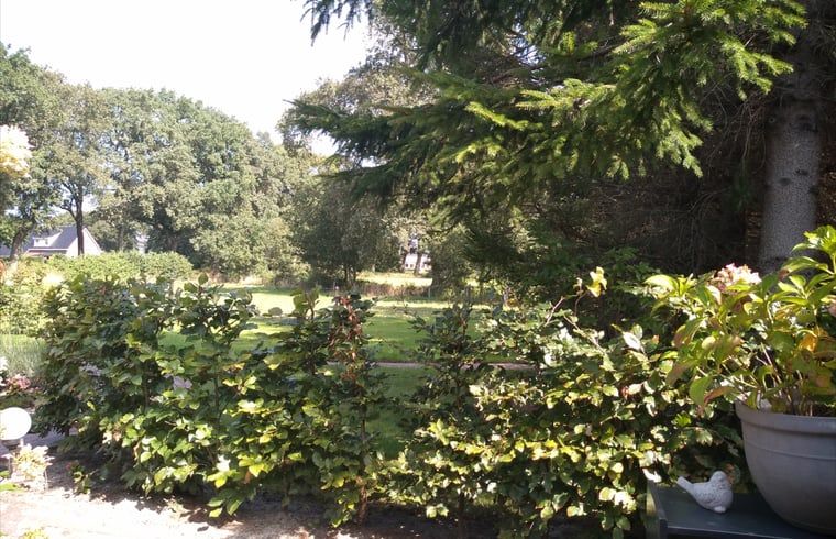 Groene omgeving bij Huisje in Marum, vakantiehuis in Zuidwest Groningen, met weelderige natuur en serene uitzichten.