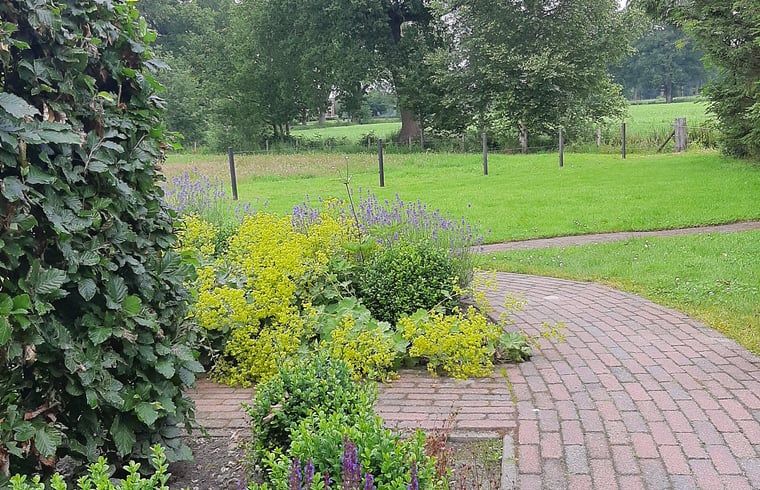 Geniet van de serene tuin van Huisje in Marum, een vakantiehuis in Zuidwest Groningen met prachtig uitzicht op het groene landschap.