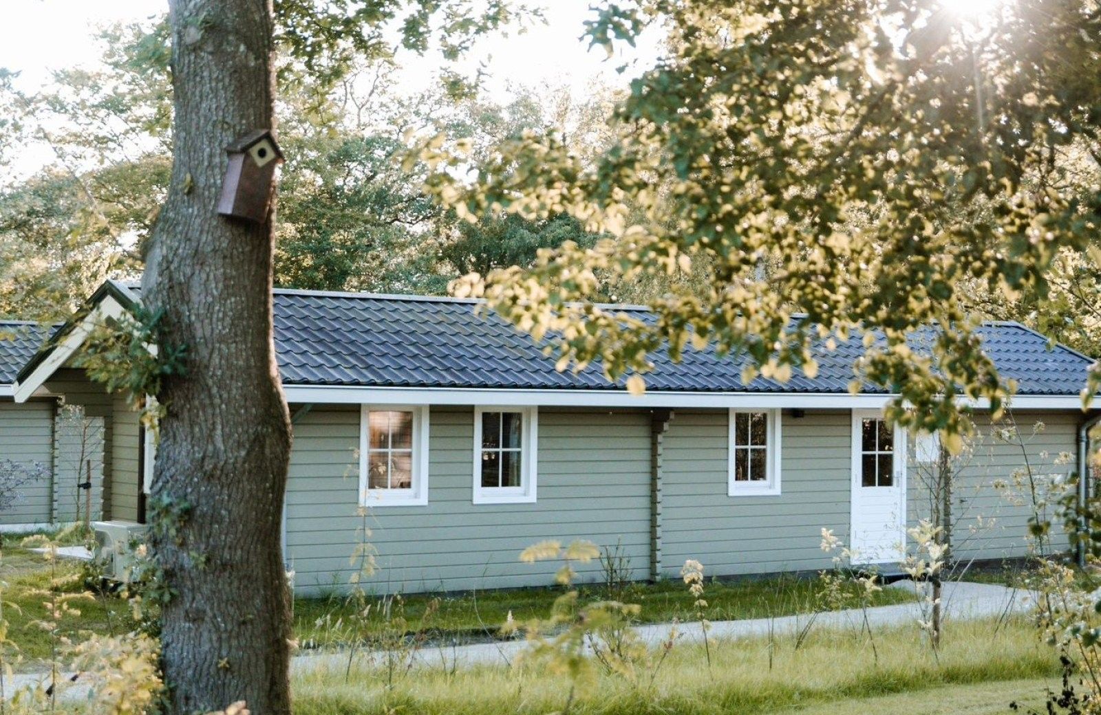 Unterkunft 362105 - Ferienhaus Zuidwest Groningen - Zweeds Landelijk Huisje met slaapbank