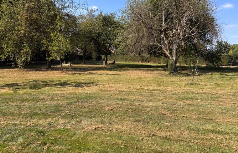 Ruhiger Garten im Ferienhaus in Weert, Mittellimburg, umgeben von Baeumen und Gruen.