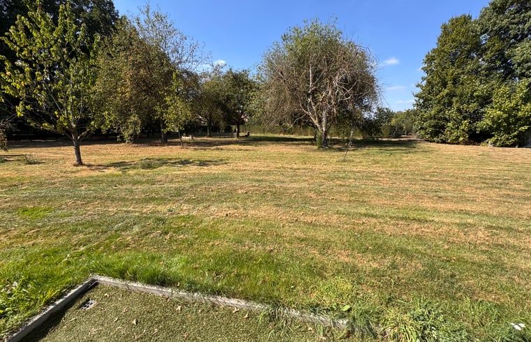 Weitlaeufige gruene Umgebung rund um das Ferienhaus in Weert, ideal fuer Wanderungen in Limburg.