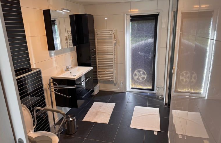 Stilvolles Badezimmer im Ferienhaus in Weert, Limburg, mit luxurioesen Annehmlichkeiten und viel Platz.