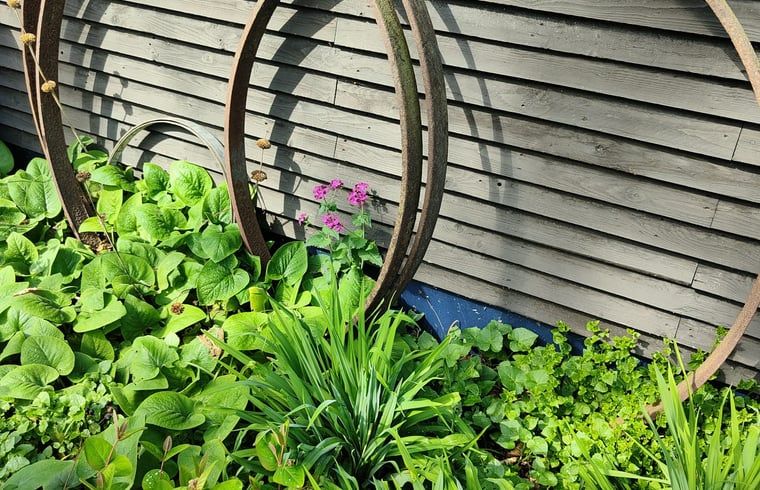 Guest house 370703 - Holiday property Midden Limburg - Vakantiehuisje in Weert