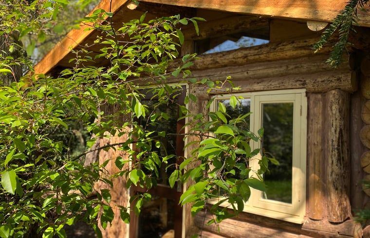 Guest house 371503 - Holiday property Midden Limburg - Vakantiehuis in Koningsbosch