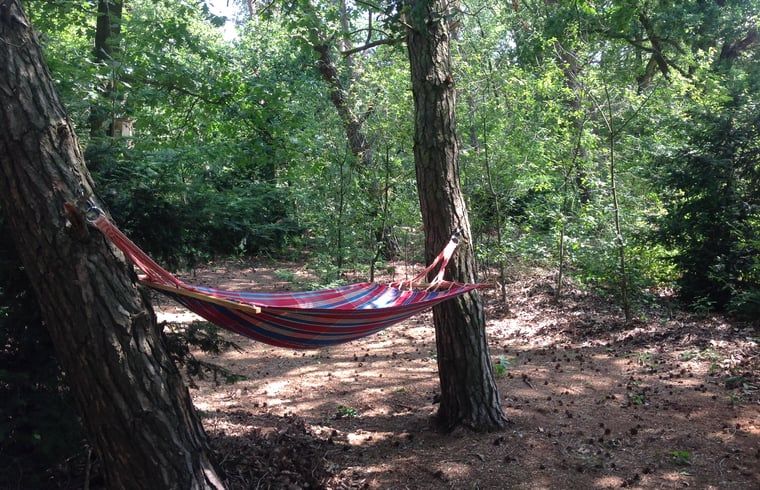 Guest house 371503 - Holiday property Midden Limburg - Vakantiehuis in Koningsbosch