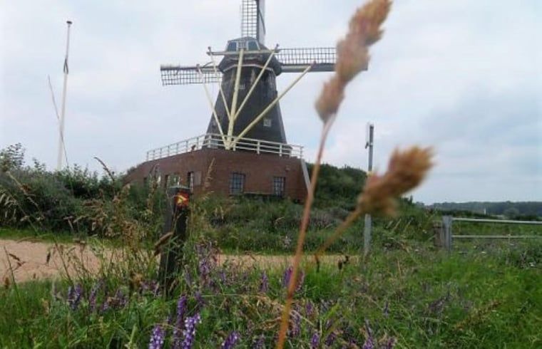 Unterkunft 371701 - Ferienhaus Midden Limburg - Vakantiehuis in Asselt - Swalmen (Roermond)