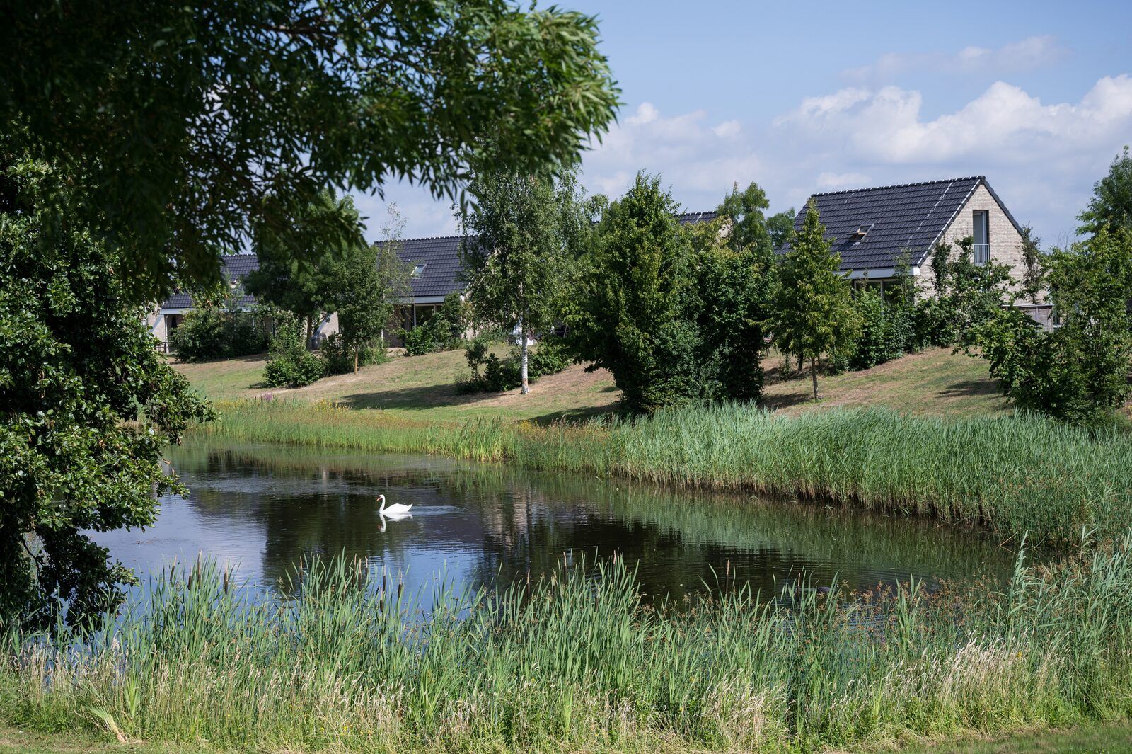 Tuinvilla | 2-6 Pers vakantiehuis in Heel, Limburg met prachtig uitzicht op de vijver en groene omgeving.
