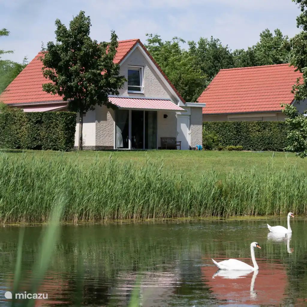 Guest house 372229 - Holiday property Midden Limburg - Venwoning | 2-6 persoons